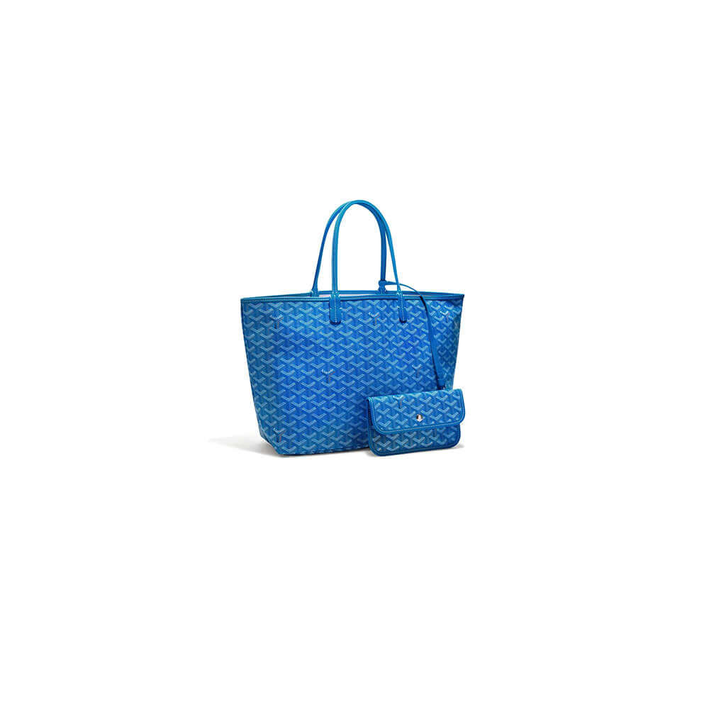 Goyard Saint Louis PM Bag